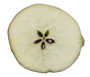 Ein Apfel horizontal geschnitten mit Kernen