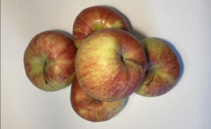 Rote-gelbe Äpfel