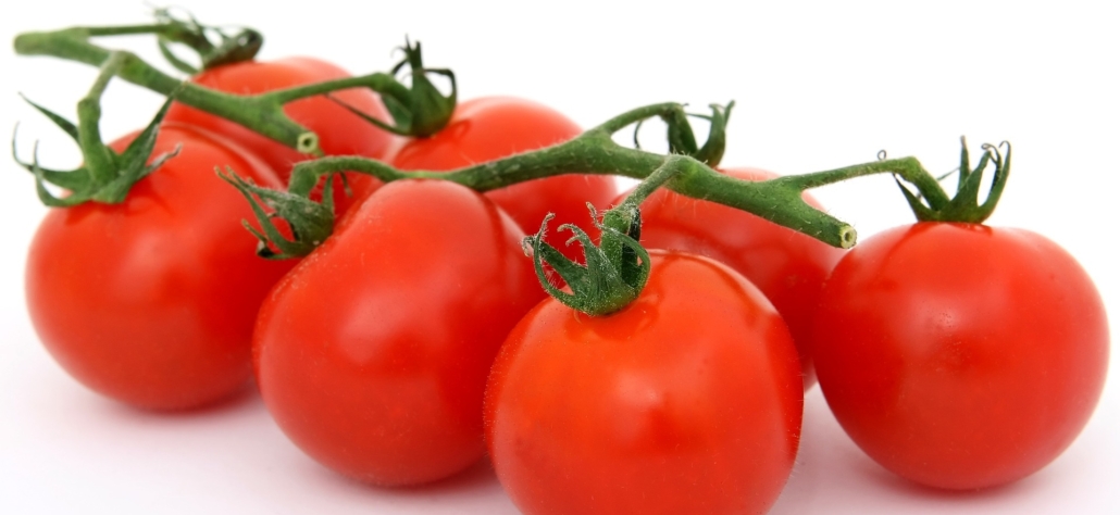 Tomaten an der Rispe