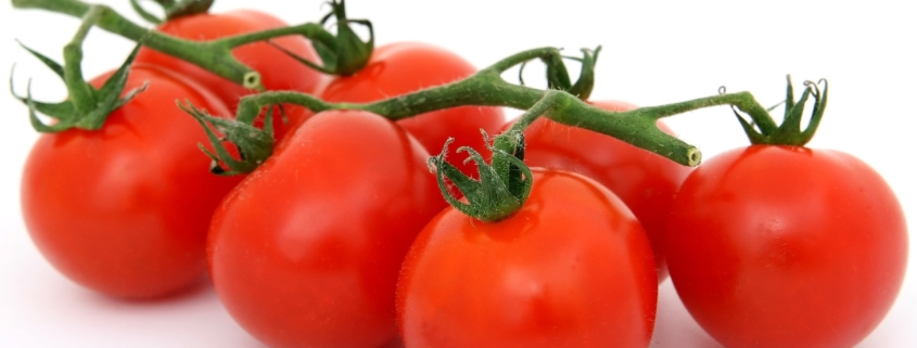 Tomaten an der Rispe